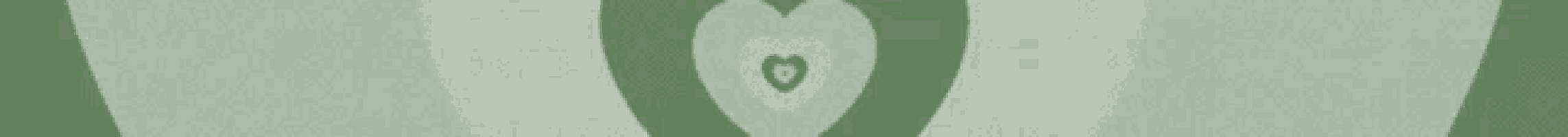 Green Divider GIF