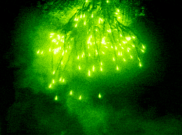 Green Fire GIF