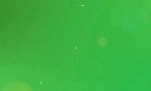 Green Party Green GIF. This 498 x 300 animated GIF is part of our soylent green is people collection. Created by keatontench. View the original animation…