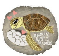 Green Turtle Sea Turtle Sticker