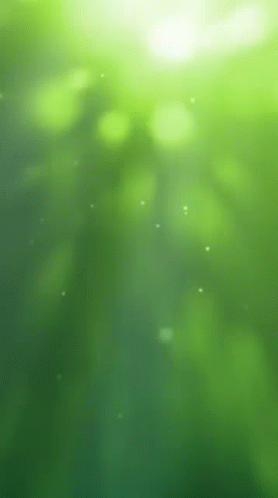 Green Wallpaper Wallpaper GIF. This 278 x 498 animated GIF is part of our rahul name wallpaper collection. Related themes include wallpaper. Created by…