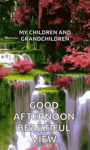 Greetings Good Afternoon GIF