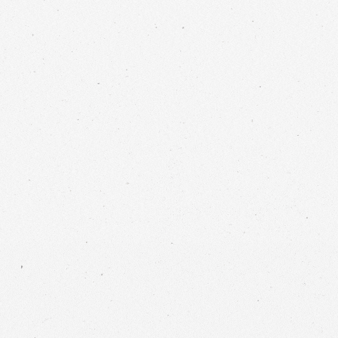 Greetpool Birthday GIF