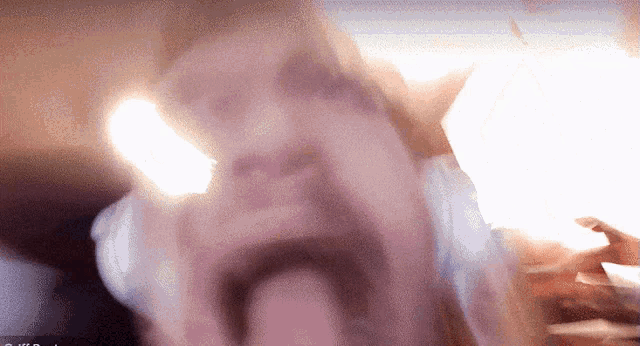 Griff Griffin GIF