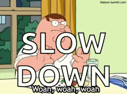 Griffin Family Slow Down GIF