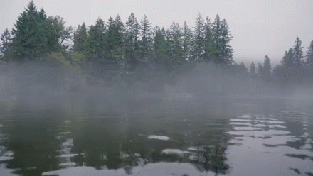 Grimm - Coming Out Of The Water GIF. This 440 x 248 animated GIF is part of our loch ness collection. Related themes include scary. View the original…