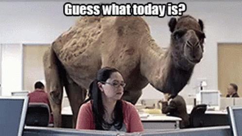 Grind Wednesday GIF