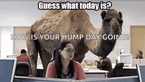 Grind Wednesday GIF