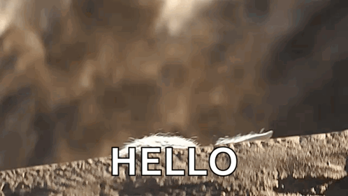 Grogu Star Wars GIF