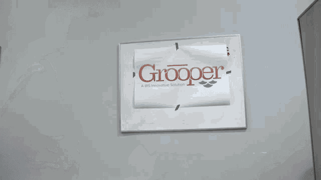 Grooper Grooper It GIF
