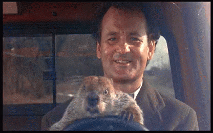 Groundhog Day Driving GIF