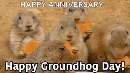 Groundhog Day Eating GIF