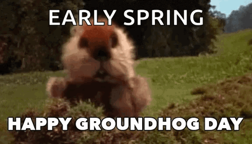 Groundhog Day Groundhogs Day GIF