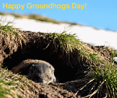 Groundhog Day Happy Groundhogs Day GIF