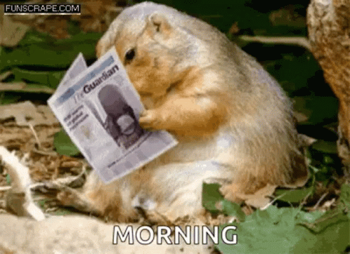 Groundhog Day GIF