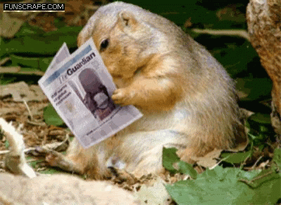 Groundhog Day GIF