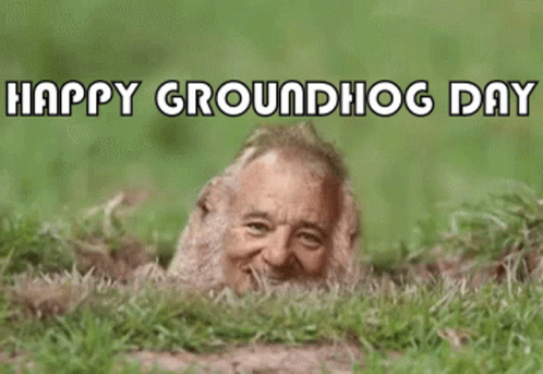 Groundhog Groundhog Day GIF