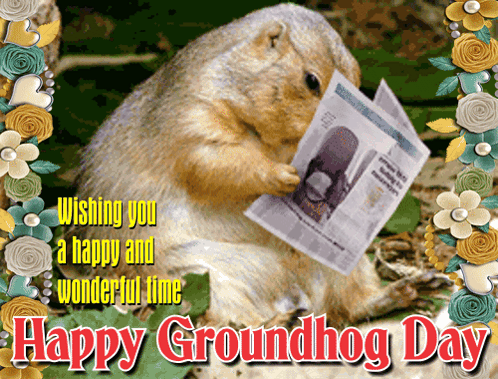 Groundhog Prairie Dog GIF