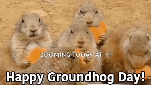 Groundhogday Eating GIF