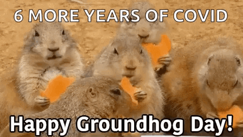 Groundhogday Eating GIF