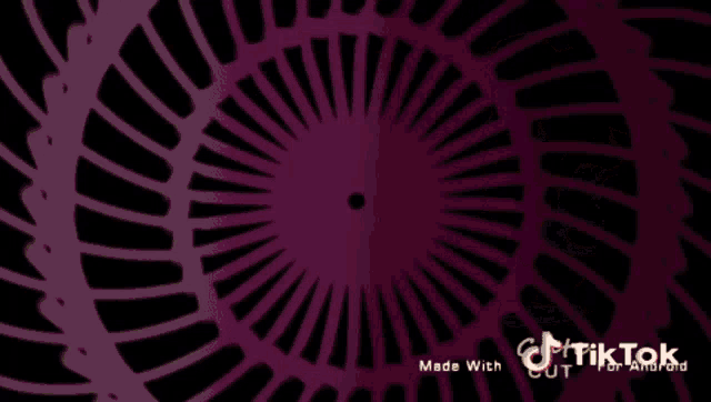 Groxy666 Tiktok GIF