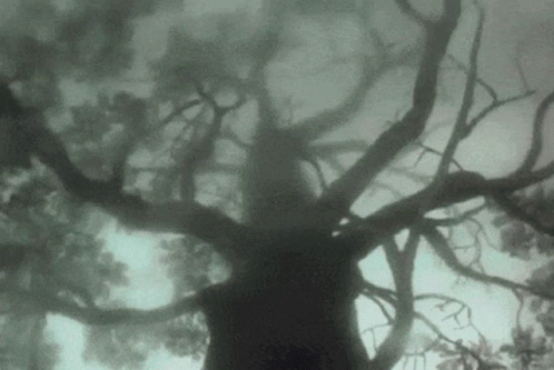 Grunge Fairycore GIF