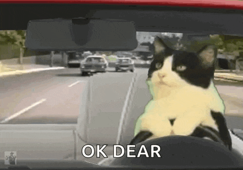 Gta Cat GIF