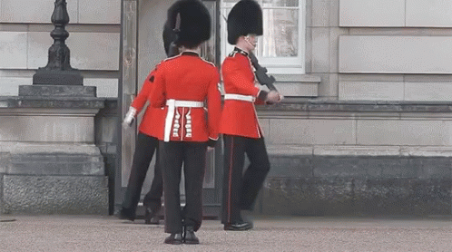 Guard Slipped GIF. This 498 x 278 animated GIF is part of our royal soldier collection. Related themes include slide. Created by ThisGuyFawkes. View the…