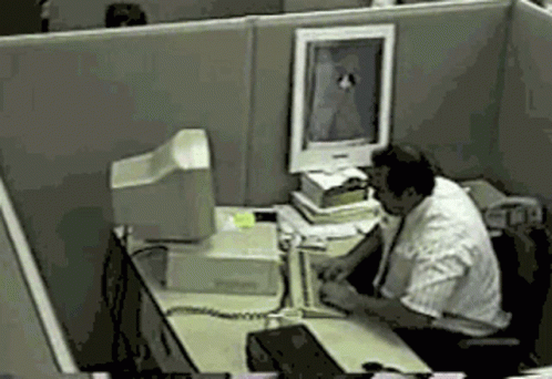 Guaton Computadora GIF