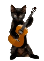 Guicat Sticker