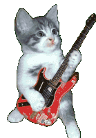 Guitar Cat Sticker