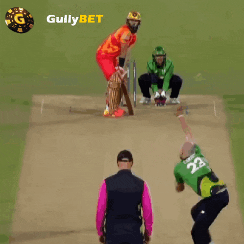 Gullybet Cricket Gifs GIF
