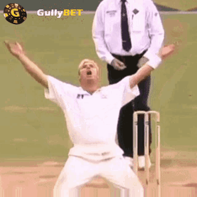 Gullybet Cricket GIF