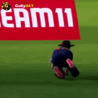 Gullybet Cricket GIF