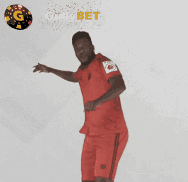 Gullybet Cricket GIF