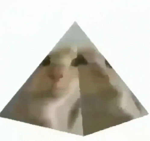 Gusic Cat Gusic GIF