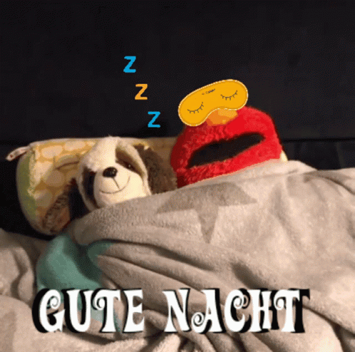 Gute Nacht GIF