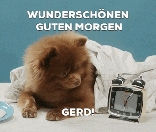 Guten Morgen Gerd Good Morning GIF. This 498 x 420 animated GIF is part of our guten morgen donnerstag collection. Related themes include clock, cute, good…