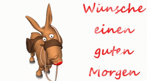 Guten Morgen Good Morning GIF