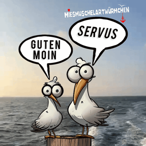 Guten Morgen Hallo GIF