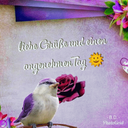 Guten Morgen GIF. This 498 x 498 animated GIF is part of our liebe gruse zum donnerstag collection. Related themes include guten morgen. Created by B56…