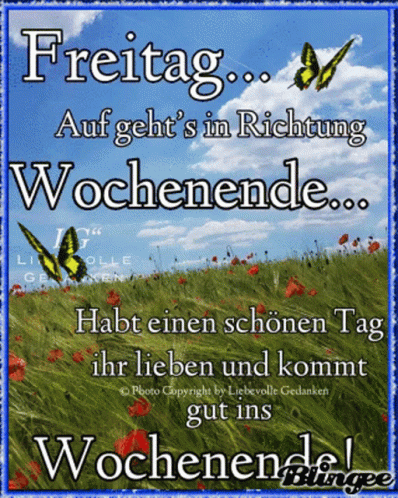 Guten Morgen GIF