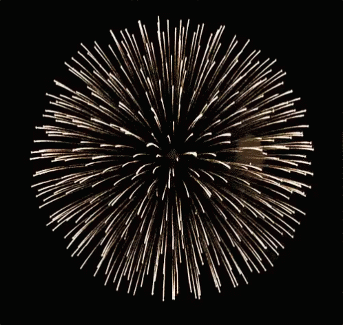 Guten Rutsch Mit Feuerwerk GIF