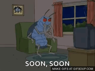 Guy GIF