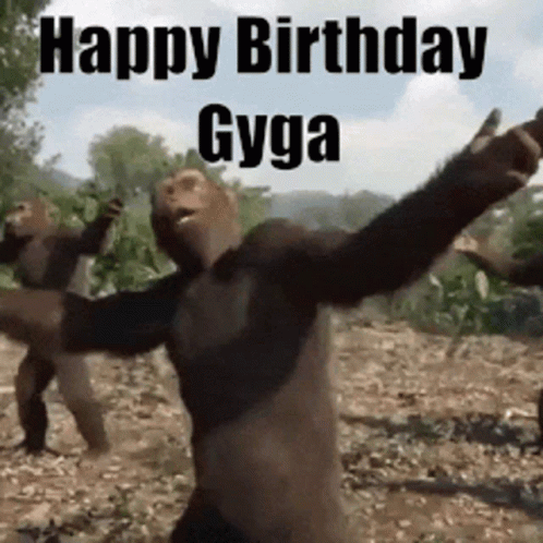 Gyga GIF