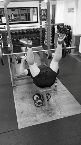 Gym Gym Time GIF