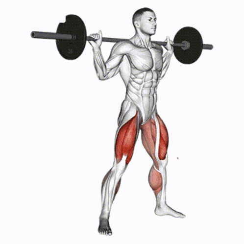 Gym GIF