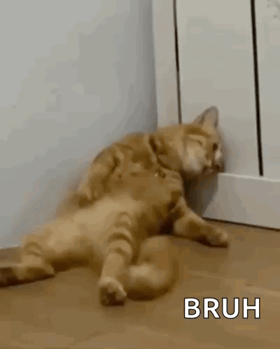 H2di Cat Dead GIF. This 400 x 498 animated GIF is part of our work collection. Created by jordan1992. View the original animation, share it, or browse…