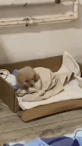 H2di Puppy Sleeping GIF. This 280 x 498 animated GIF is part of our sleep collection. Created by h2di. View the original animation, share it, or browse…