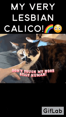 Ha Ha Ha Ha Ha GIF